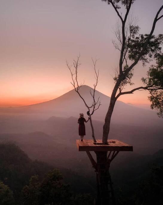 Magic Hills Bali - Magical Eco-Luxury Lodge Selat 外观 照片