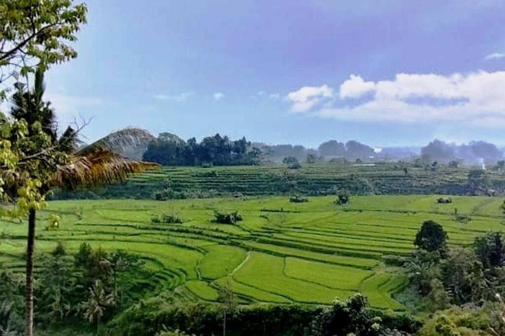 Magic Hills Bali - Magical Eco-Luxury Lodge Selat 外观 照片
